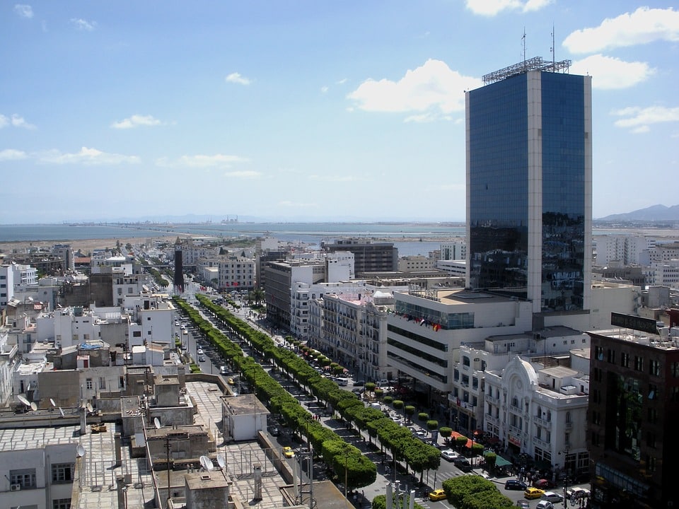 Avenida y centro de negocios de la ciudad de Túnez