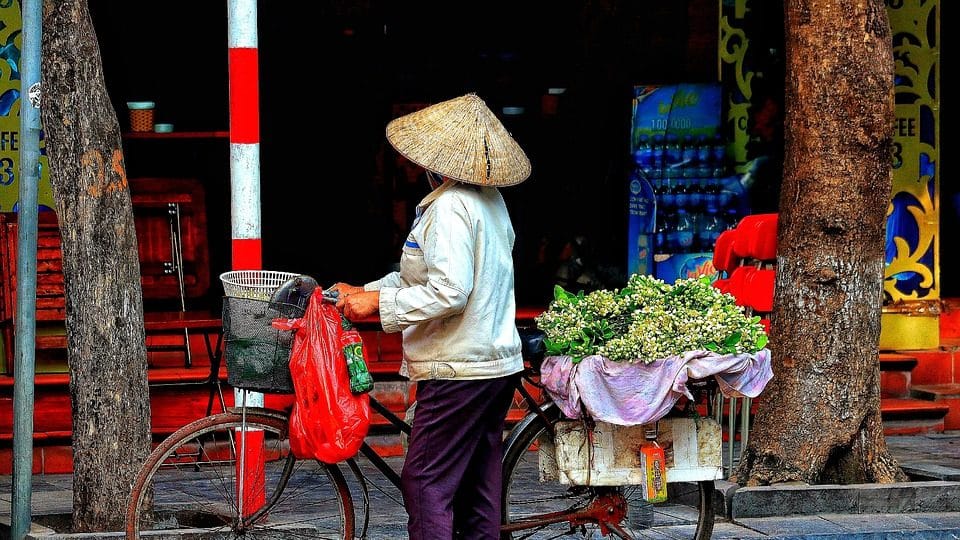 En Hanoi hay muchos vendedores ambulantes, tanto de fruta como de flores