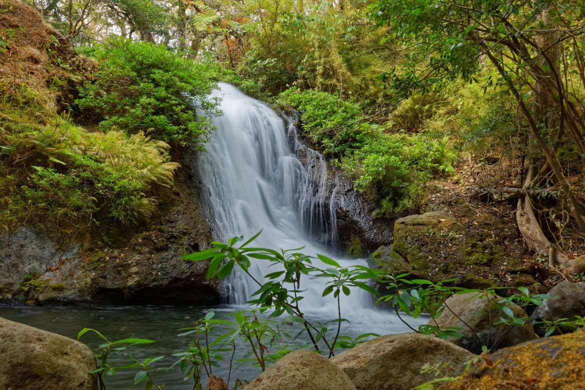 Cascadas y vegetación en los parques naturales de Costa Rica