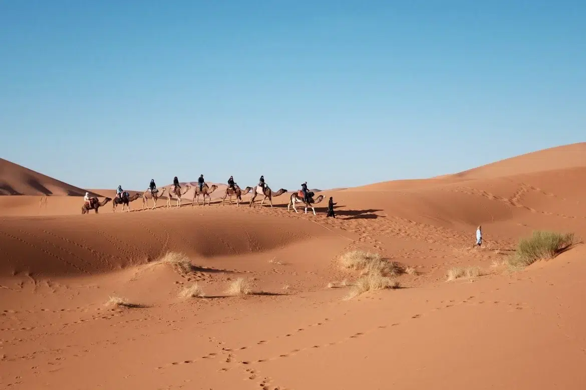 Ruta en camello por las dunas del desierto