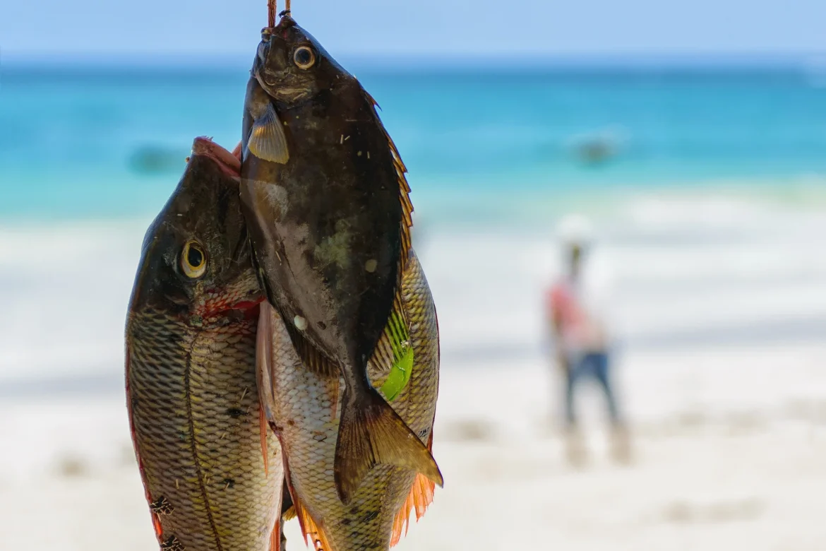 La pesca es una de las principales fuentes de alimento en las zonas costeras de Kenia