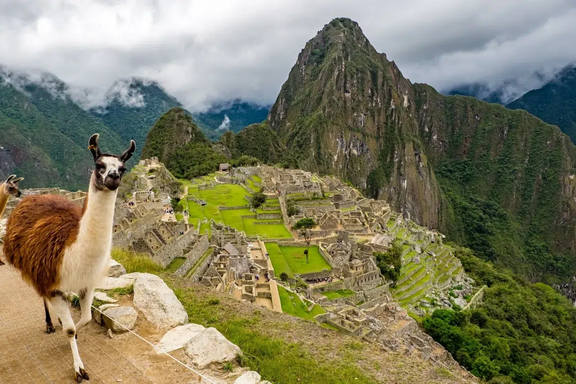 Llama posando en el Monte Machu Picchu, Perú